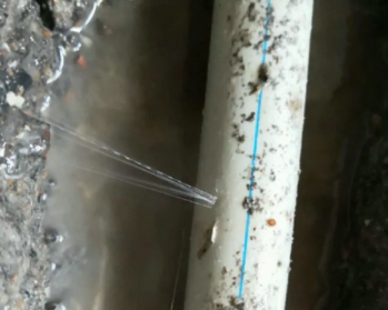 合江卫生间测漏水多少钱